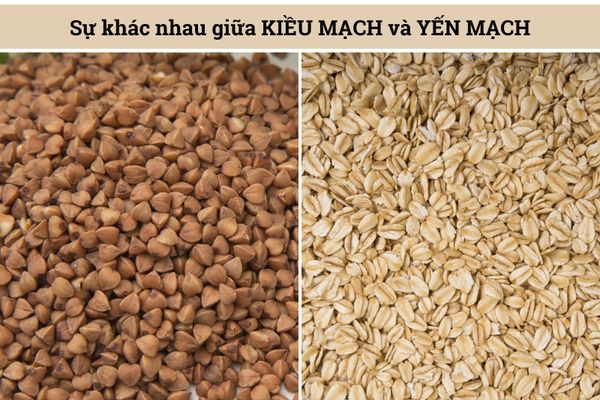 Kiều mạch được trồng chủ yến ở vùng núi phía bắc