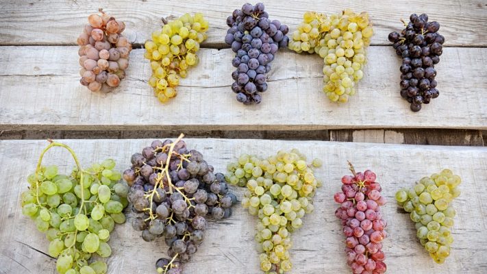 Rượu vang trắng làm từ gì?