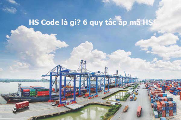 hs-code-la-gi-6-quy-tac-ap-ma-hs