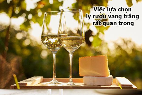 Lựa chọn ly uống rượu vang trắng phù hợp