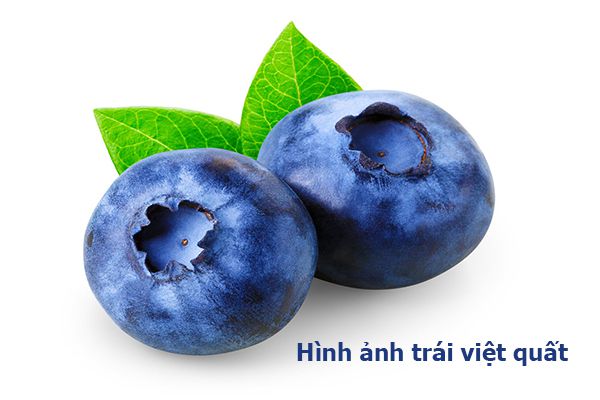 15-tac-dung-khong-ngo-cua-trai-viet-quat