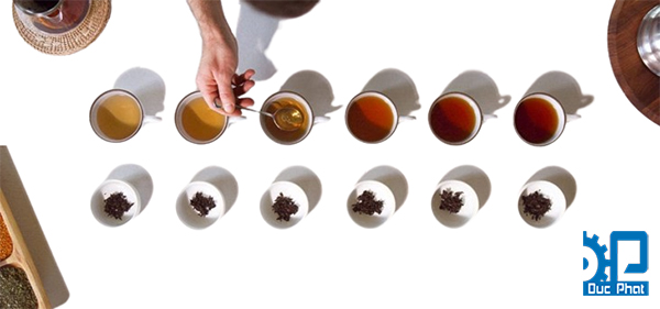 Kombucha có nguồn gốc từ đâu?