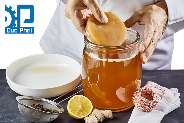 Các bước làm trà kombucha