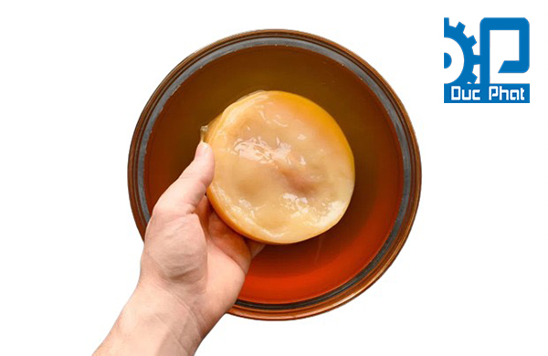 Con giống Scoby