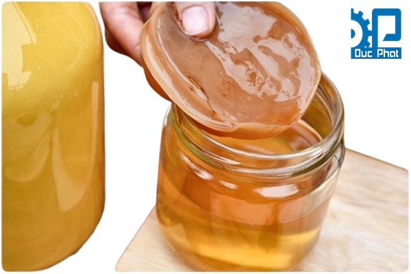 Hướng dẫn nuôi Scoby