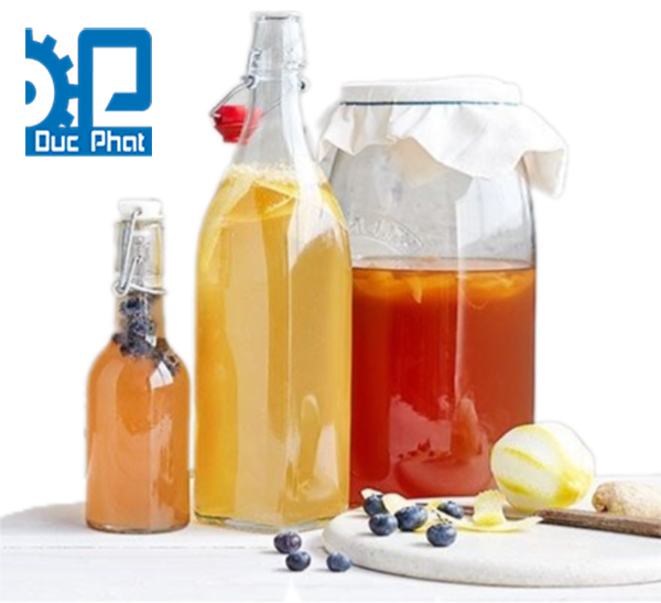 Kombucha chứa chất chống oxy hóa