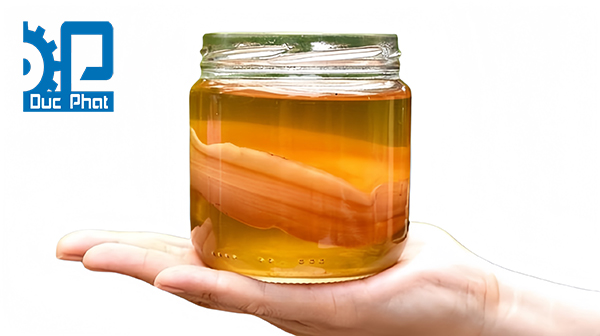 Kombucha chứa lợi khuẩn Probiotics