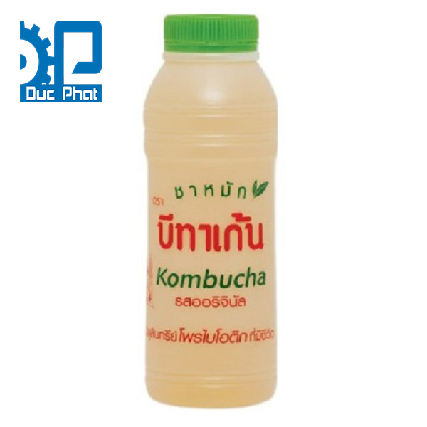 Kombucha kết hợp với sữa