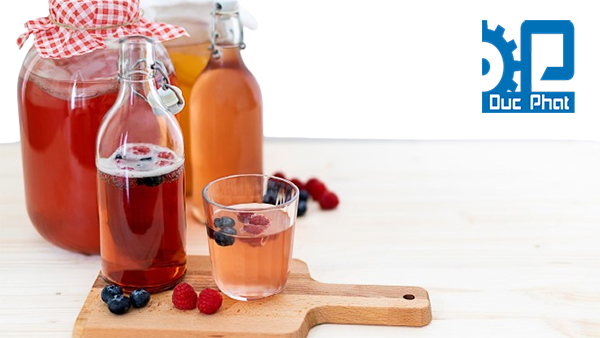 Kombucha kết hợp với trái cây