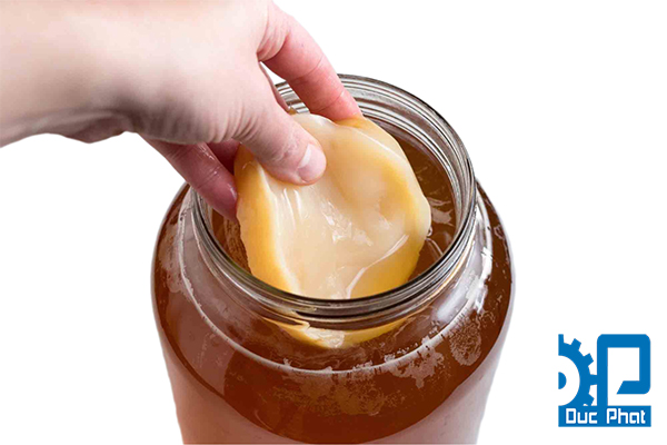 Kombucha là gì?