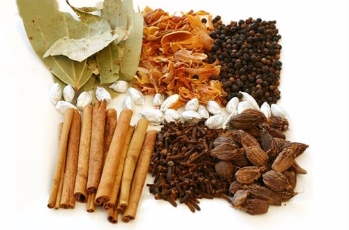 thuoc-y-hoc-co-truyen-thiet-bi-nganh-duoc