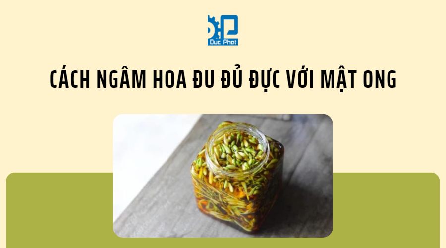 Cách ngâm hoa đu đủ đực với mật ong