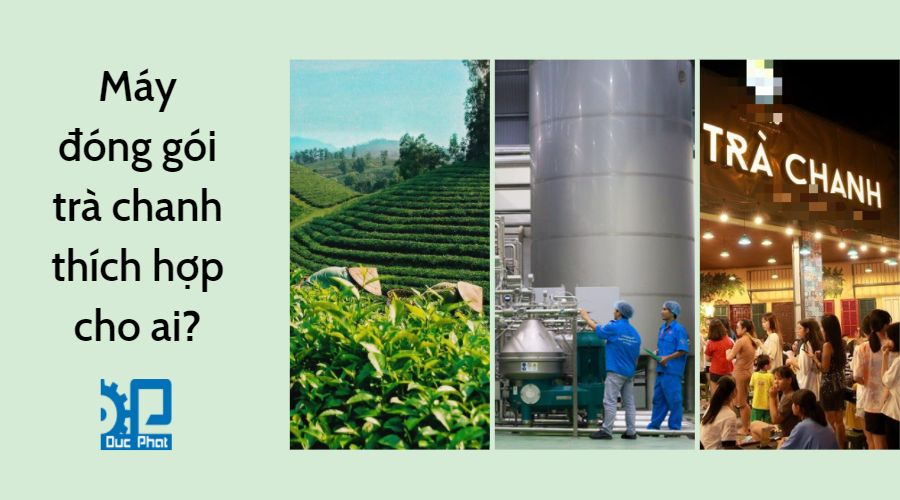 Máy đóng gói trà chanh thích hợp với mọi quy mô