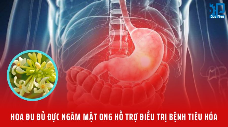 Bệnh trào ngược dạ dày và viêm loét dạ dày