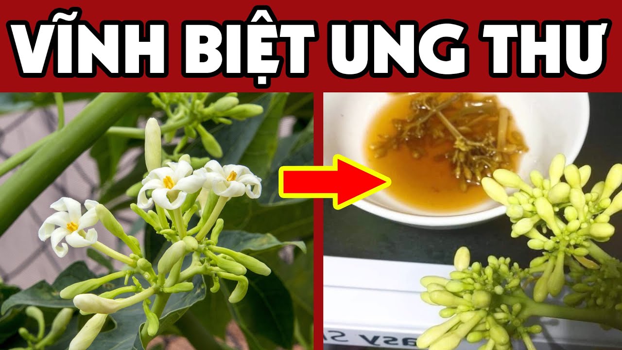 Ngăn ngừa các tác nhân gây ung thư