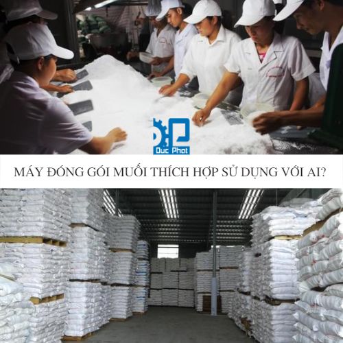 may-dong-goi-muoi-thich-hop-su-dung-voi-ai