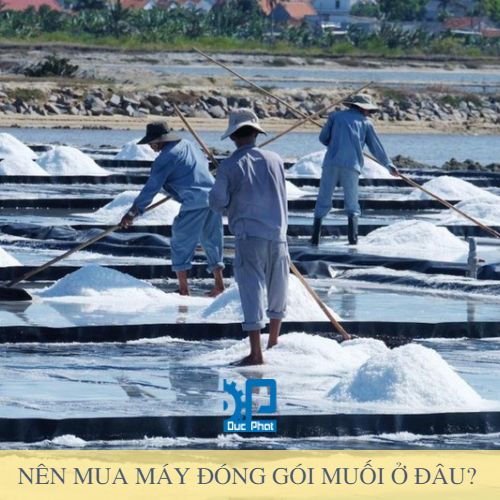 nen-mua-may-dong-goi-muoi-o-dau