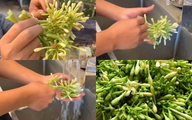 Sơ chế hoa đu đủ và mật ong