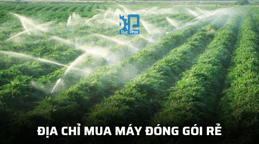 Địa chỉ mua máy rẻ chất lượng cao