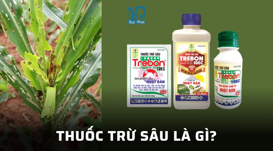 Thuốc trừ sâu là gì? Vai trò của thuốc trừ sâu
