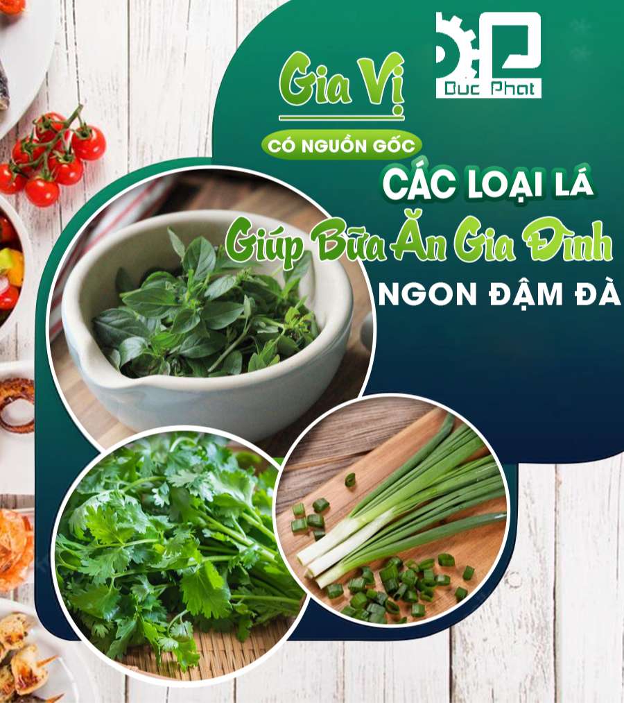 Gia vị có nguồn gốc các loại lá là gì