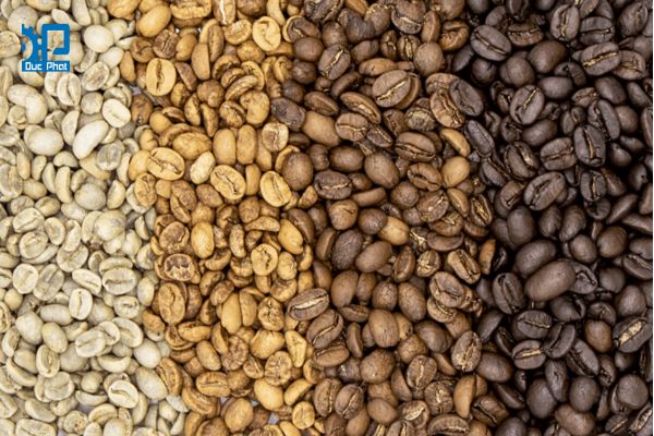 Các mức rang cà phê phổ biến