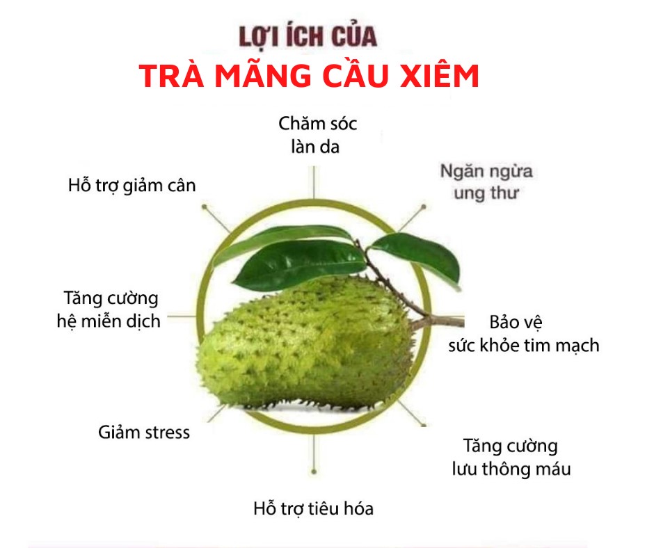Cách làm trà mãng cầu tại nhà giải nhiệt cho mùa hè Lợi ích của trà mãng cầu mang lại