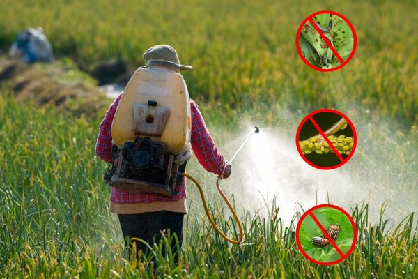 Công dụng của thuốc trừ sâu sinh học