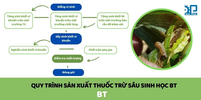 Quy trình sản xuất thuốc trừ sâu sinh học BT