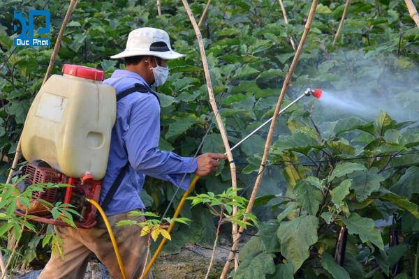 Thuốc trừ sâu sinh học có độc không?