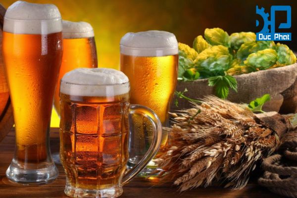 Tìm hiểu quy trình sản xuất bia đạt chuẩn 