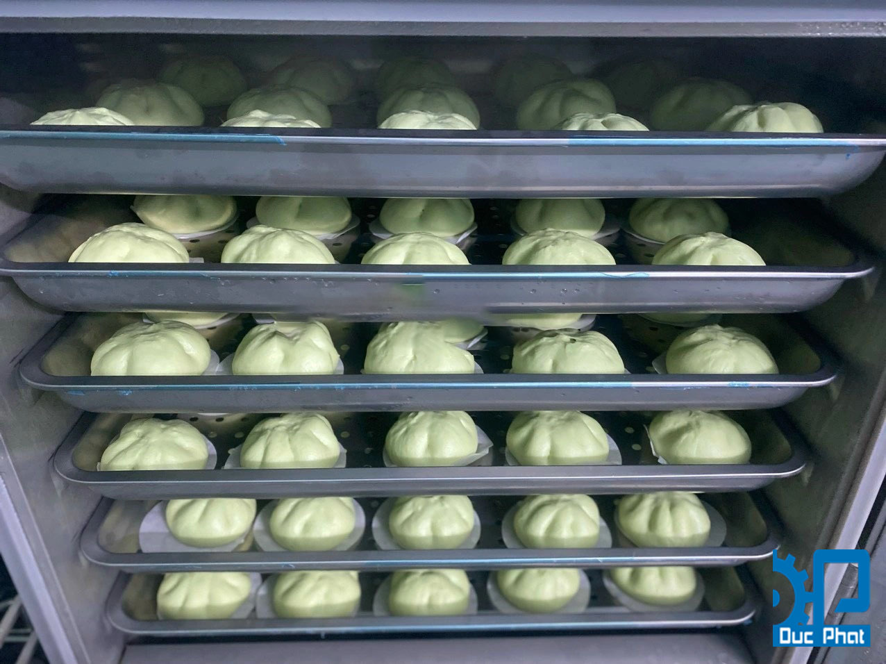 Tủ hấp bánh bao