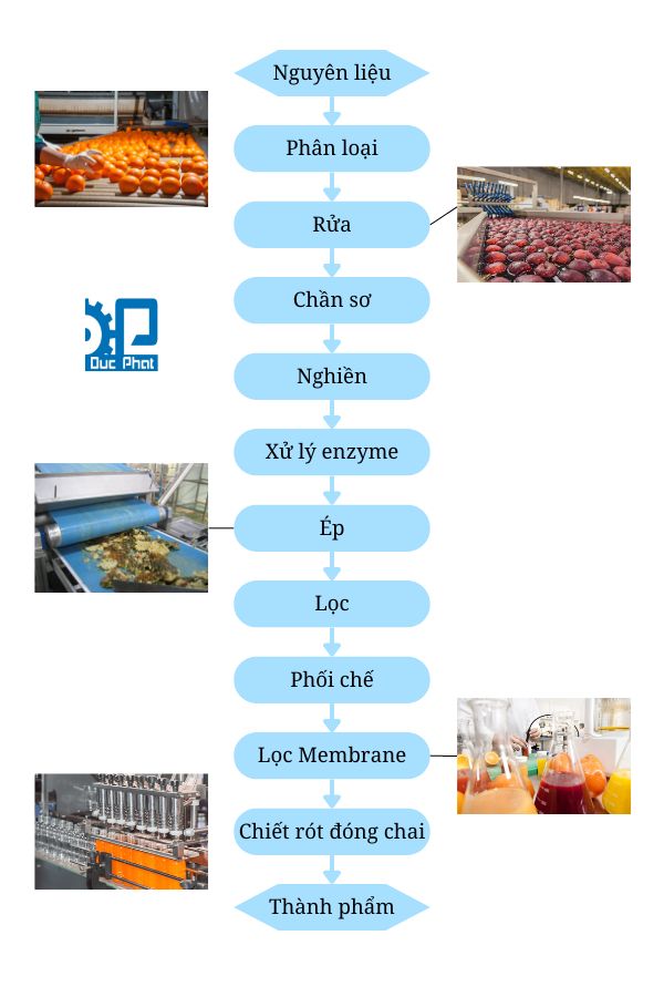 Quy trình sản xuất nước ép trái cây đóng chai