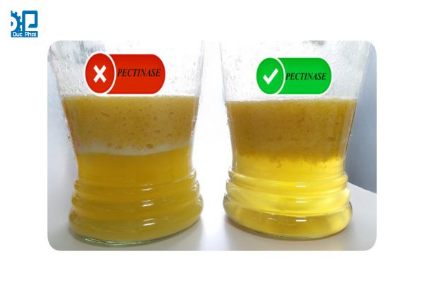 Xử lý enzyme