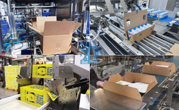 Các loại máy đóng thùng Carton