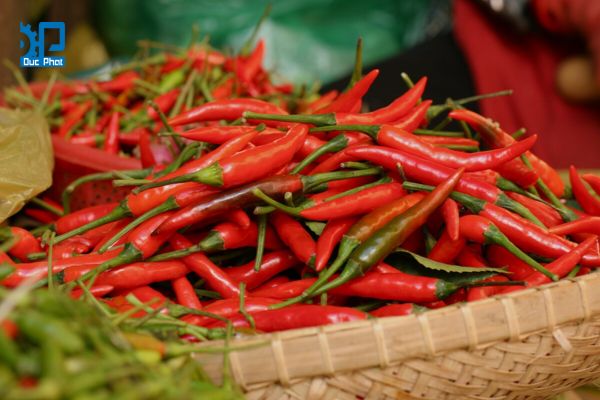 Nguyên liệu sản xuất tương ớt