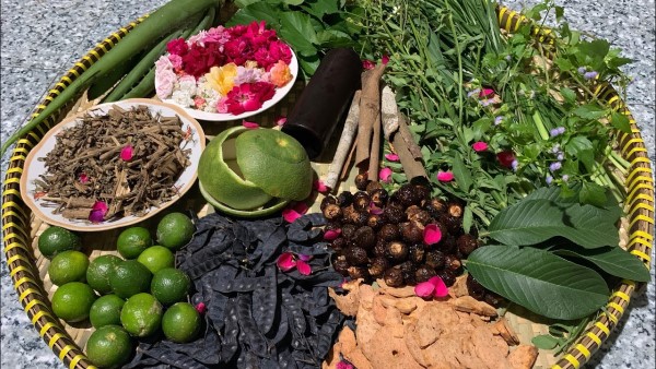 Chuẩn bị và sơ chế nguyên liệu