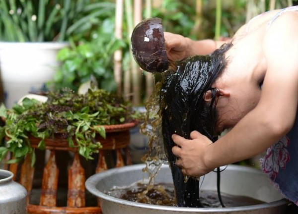 Lợi ích dầu gội thảo dược