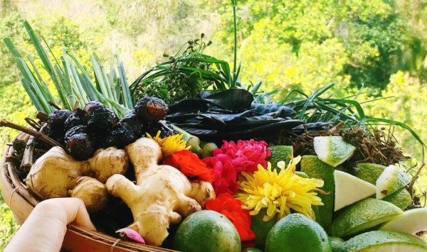 Tại sao nên sử dụng dầu gội dược liệu