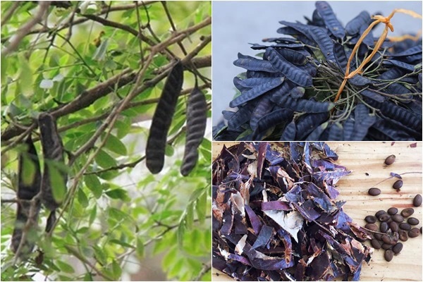 Cách làm dầu gội bồ kết