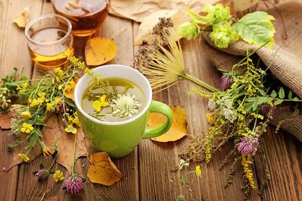 Uống trà lá nam giảm cân