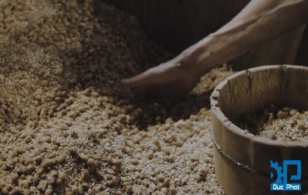 Lên men nước tương