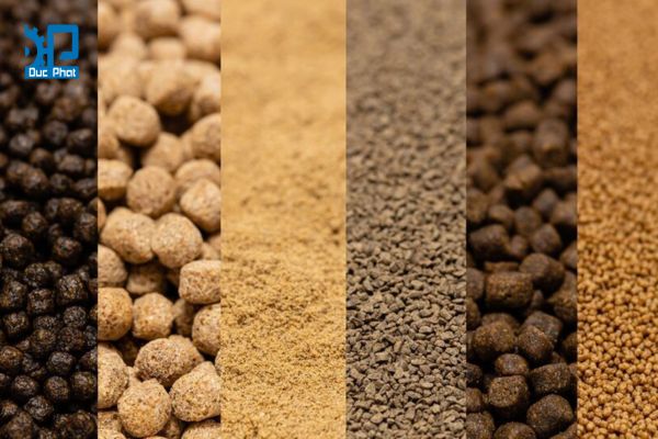 Các loại thức ăn thủy sản