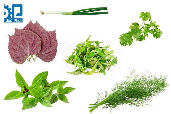 Gia vị dạng lá