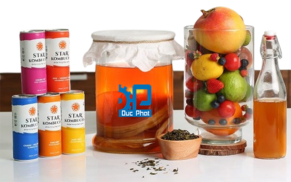 Trà Kombucha
