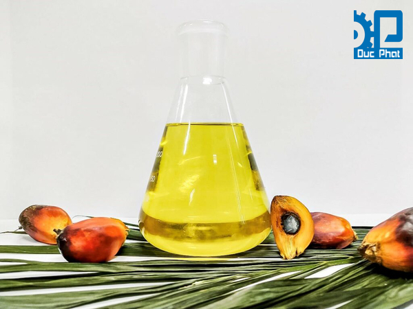 Lợi ích của dầu cọ đối với sức khỏe