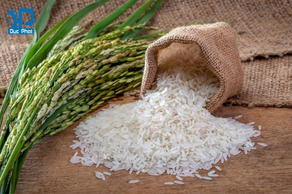 Quy trình sản xuất gạo sạch