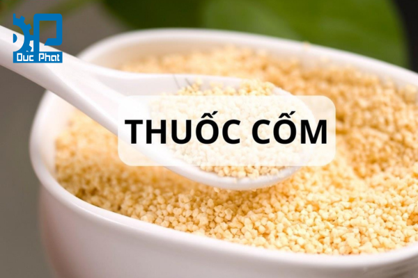 Thuốc cốm là gì? Quy trình sản xuất thuốc cốm
