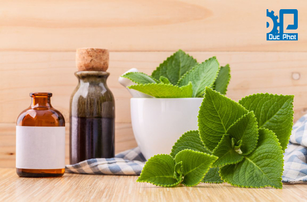 Quy trình sản xuất nước súc miệng thảo dược
