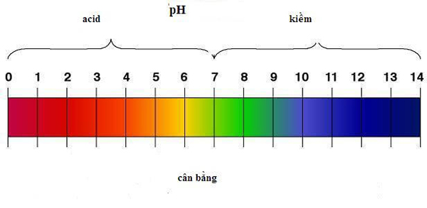 Điều chỉnh độ pH